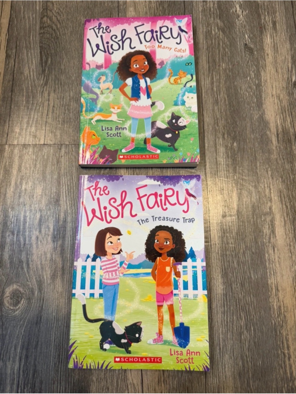 The Wish Fairy Book Lot Books 1 & 2 Early Reader Chapter Books